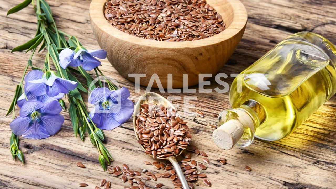 Is Linseed Oil Toxic?