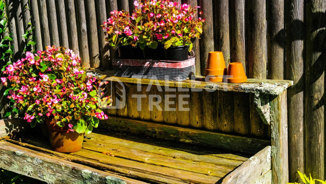 What to Consider When Choosing a DIY Potting Bench Plan